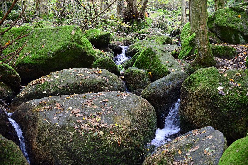 Mountain stream black forest 1.4 by Ingo Laue