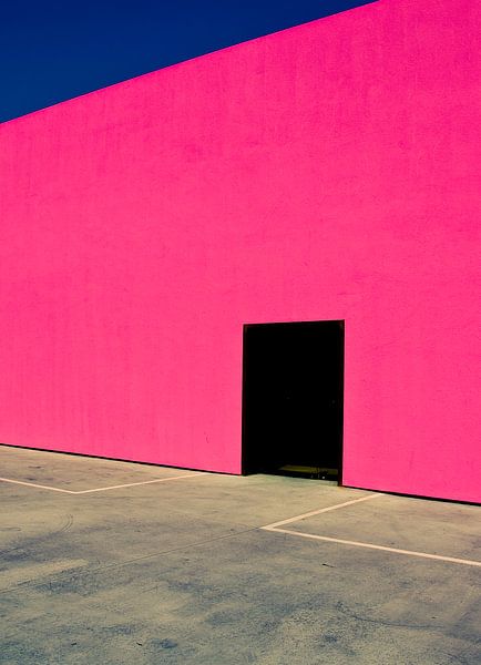 Shocking Pink Wall, David Jordan Williams by 1x