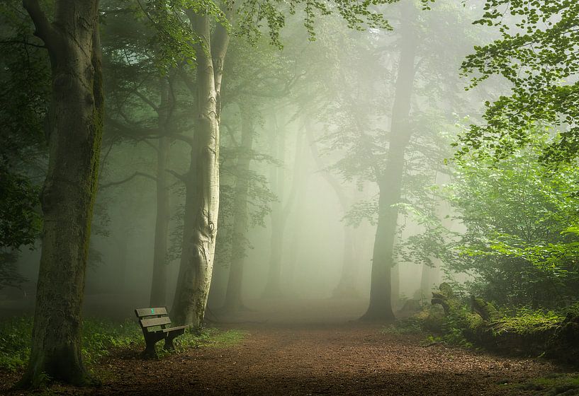 Prenez un siège par Jos Duivenvoorden