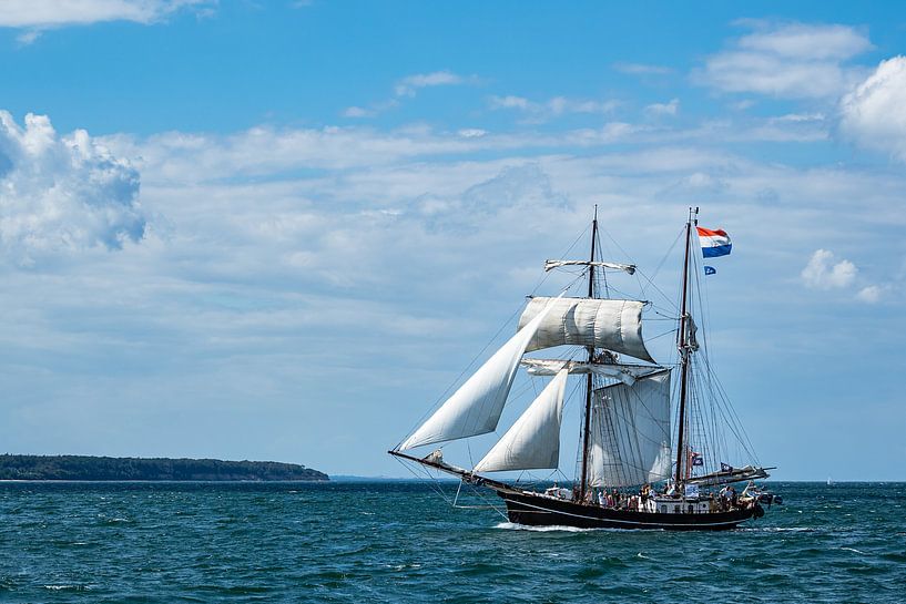 Segelschiffe auf der Hanse Sail in Rostock von Rico Ködder