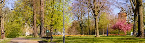 Breda - Panorama Wilhelminapark