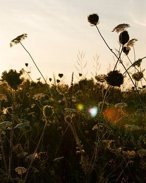 Ende des Tages von Anjuska Slijderink