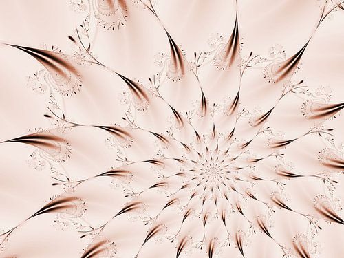 Flower Star Discreet