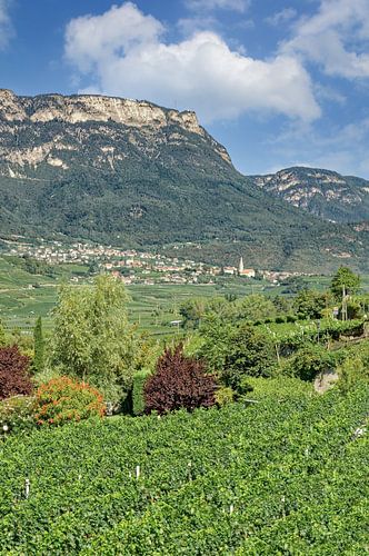 Uitzicht op Kaltern op de wijnroute