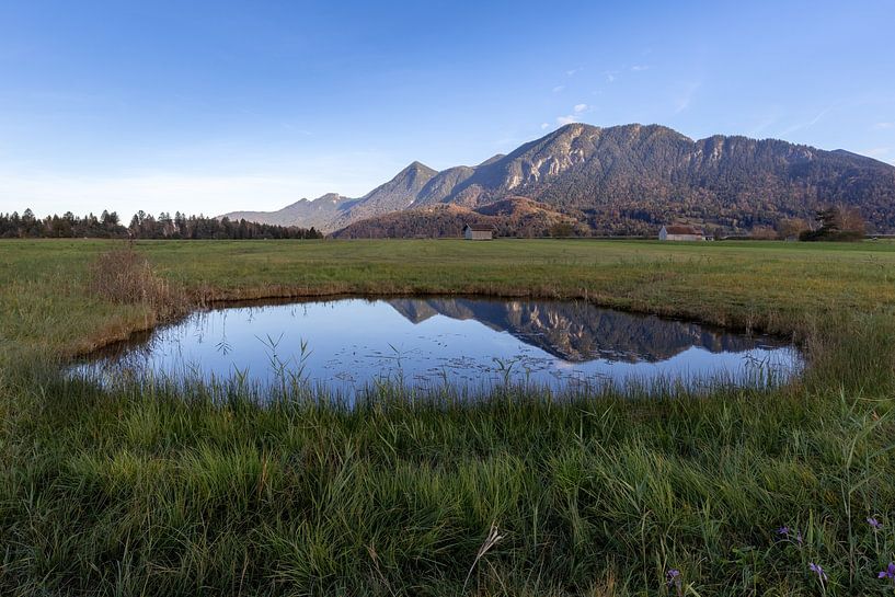 Reflet de la montagne sur l'œil de mousse par Teresa Bauer