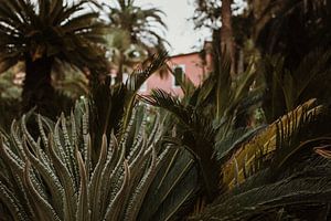 Botanische tuin - groen en roze van Anne Verhees