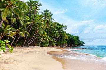 Playa Blanca von Walljar