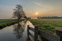 Schöner Polder-Sonnenaufgang