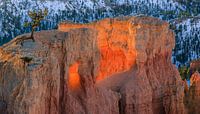 Winter zonsopkomst in Bryce Canyon N.P, Utah van Henk Meijer Photography thumbnail