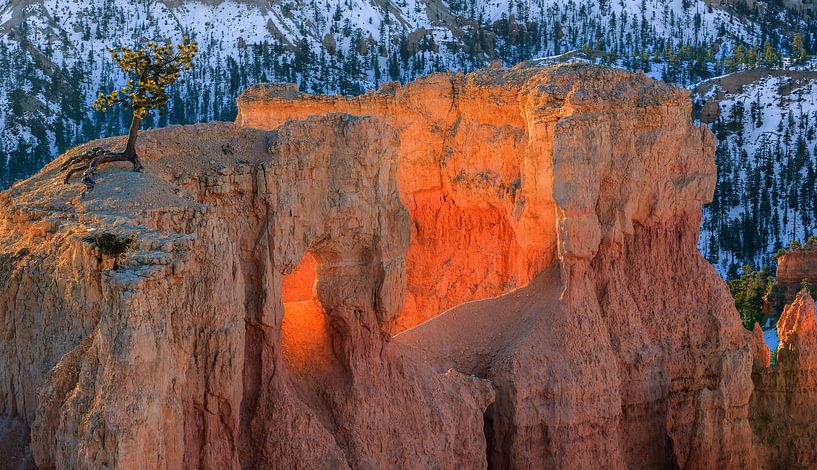 Wintersonnenaufgang im Bryce Canyon N.P., Utah von Henk Meijer Photography