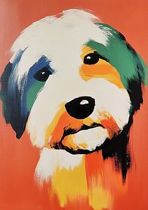 Hund | Hundeportrait mit buntem Fell