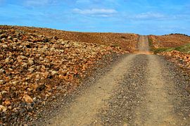 Road to Nowhere