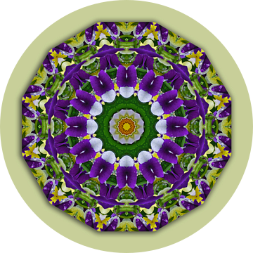 Viooltje Mandala (Stiefmuetterchen), Bloemen Mandala, Natuur