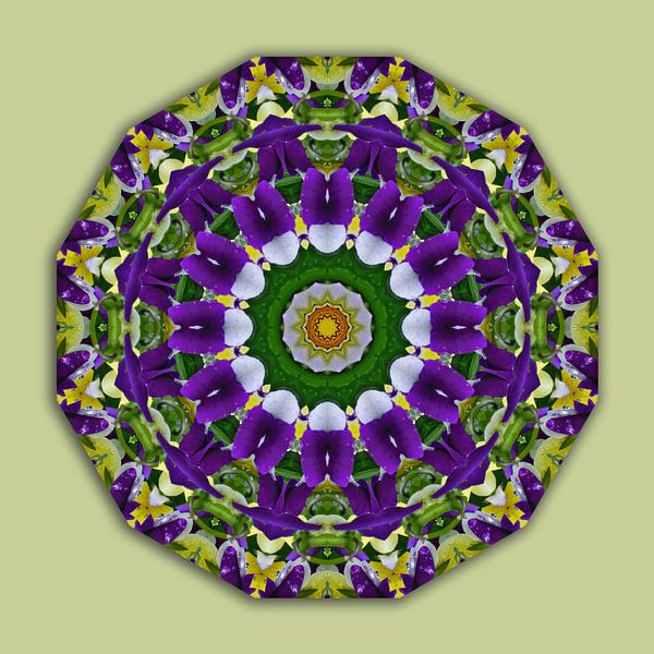 Viooltje Mandala (Stiefmuetterchen), Bloemen Mandala, Natuur van  