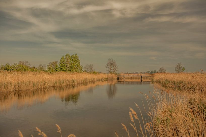 schellach zeeland, walcheren van anne droogsma