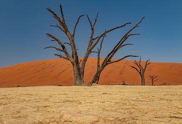 Deadvlei - Namibië van Photowski