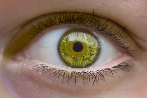 Groene Ogen en Kiwi's - Kunst aan de Muur met Fascinerende Fotomanipulatie