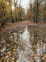 Herfst