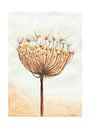 Bloated by Natascha Eigenhuis thumbnail