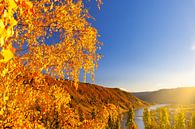Autumn landscape on the Moselle in Germany by Bas Meelker thumbnail