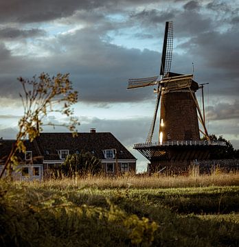 Niet de molen van Ruisdael van Tim Breeschooten