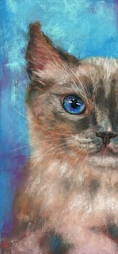 Portrait d'un chat aux yeux bleus sur Karen Kaspar
