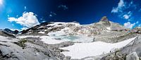 Oostenrijkse Alpen - 6 van Damien Franscoise thumbnail