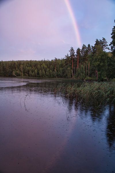 Regenboog over een Zweeds meer van Martin Köbsch