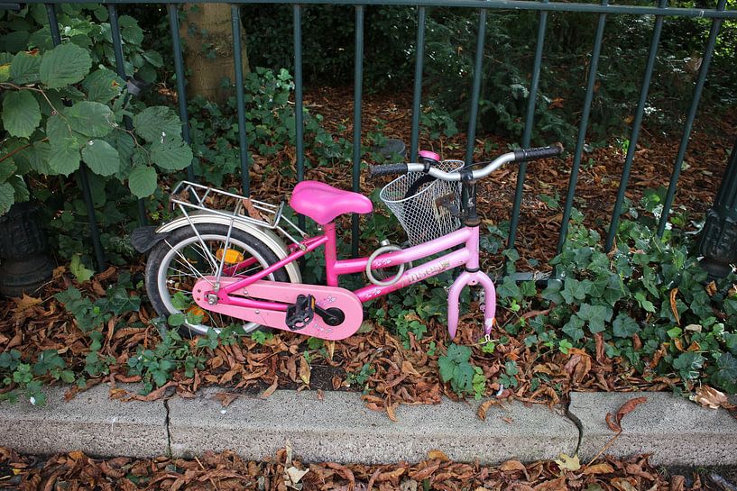 pink children's bike by Ard Edsjin