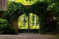Zaun Klostergarten
