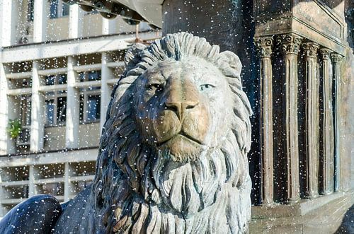 Leeuw in Skopje
