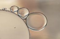 Follow the leader by Carla Mesken-Dijkhoff thumbnail