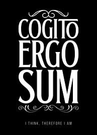 Cogito ergo sum - Je pense, donc je suis