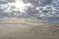 Beach Terschelling