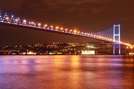 Bosporus-Brücke Istanbul von Dana Schoenmaker Miniaturansicht