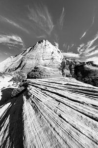 Zandsteenstructuur bij Checkerboard Mesa in Zion National Park