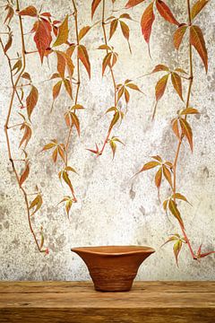 Terracotta  (vaas zonder bloemen)
