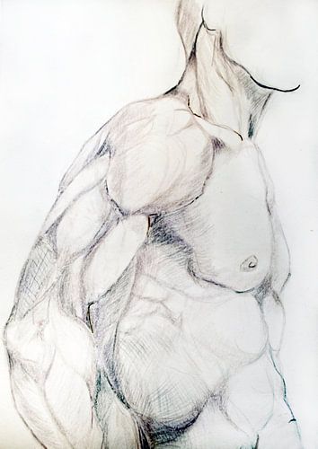 Drawing of a man's torso.