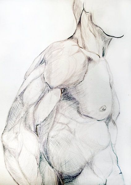 Tekening van de torso van een man. van Therese Brals