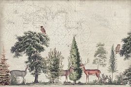 Nordische Reise von Andrea Haase