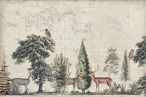 Nordische Reise