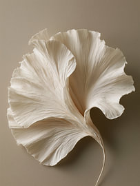 Paper Bloom Study II – Minimalistische Blumenform in Elfenbein und Creme