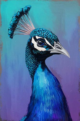 Pauw in blauwe en paarse tinten