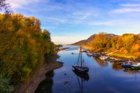 Rhine view