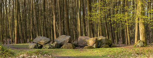 Panorama dolmen D7 at Schipborg