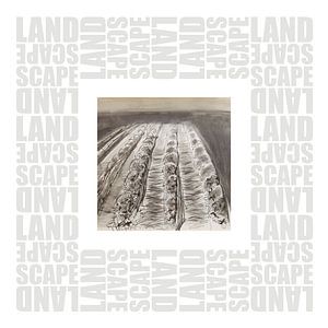Landschaft Veltwezelt Belgien
