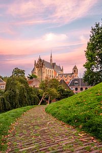 Leiden - Hooglandse kerk gezien vanaf de Burcht (0110) van Reezyard