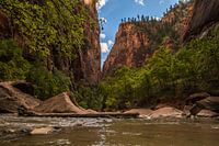Zion National park Amerika