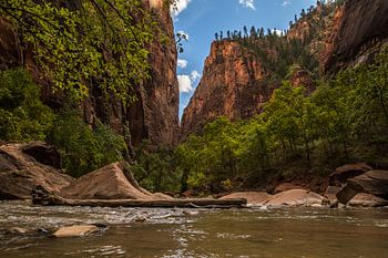 Zion National park Amerika