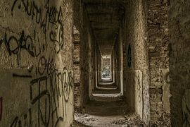 Die Tiefe geht zurück von Ans Bastiaanssen